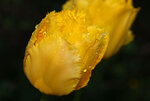 IMG_8315.jpg