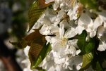 DSC_0957.jpg