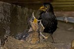 DSC_0222.jpg