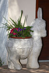 IMG_8280.jpg
