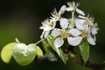 IMG_8315.jpg