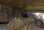 DSC_0183.jpg