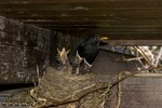 DSC_0229.jpg
