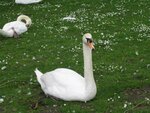 IMG_1416-1.jpg