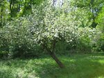 IMG_1905-1.jpg