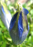 IMG_9326.JPG