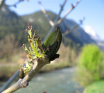 IMG_9356 Kopie.jpg
