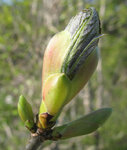 IMG_9358 Kopie.jpg