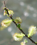 IMG_9362 Kopie.jpg