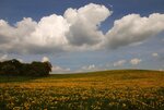 DSC_0962.jpg