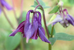IMG_8644.jpg