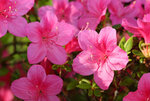 IMG_8640.jpg
