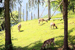 IMG_8664.jpg