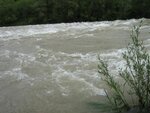 IMG_0264.jpg
