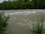 IMG_0265.jpg