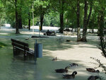 Isarhochwasser 03.jpg