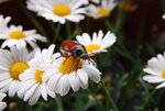DSC_0999.jpg