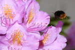 IMG_9088.jpg