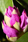 IMG_9096.jpg