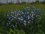 IMG_0298.jpg