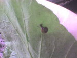 DSC00300.JPG