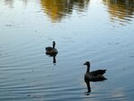 IMG_1342.jpg