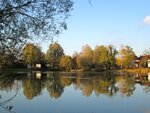 IMG_1332.jpg