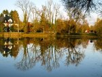 IMG_1334.jpg