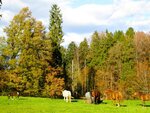 IMG_1376.jpg