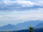 IMG_1353.jpg