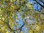 IMG_1369.jpg