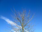 IMG_1355.jpg