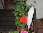 IMG_1390.jpg