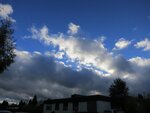 IMG_0223.jpg