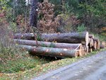 IMG_0226.jpg