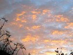 IMG_1402.jpg