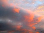 IMG_1413.jpg