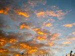 IMG_1408.jpg