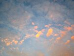 IMG_1420.jpg