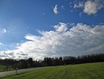 IMG_1442.jpg