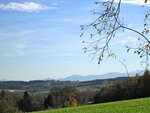IMG_1429.jpg