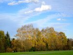 IMG_1423.jpg