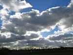 IMG_1548.jpg