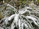 IMG_1556.jpg