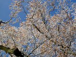 IMG_1566.jpg