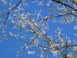 IMG_1579.jpg