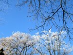 IMG_1592.jpg