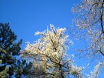IMG_1598.jpg