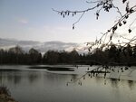 IMG_1621.jpg