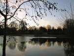 IMG_1623.jpg